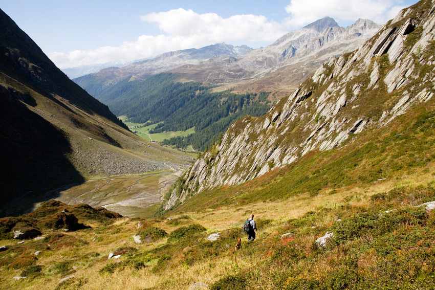 alex fischer, fotograf, darmstadt, ahrntal, sd tirol, jaeger, revier, berge, fernglas, gewehr, hund