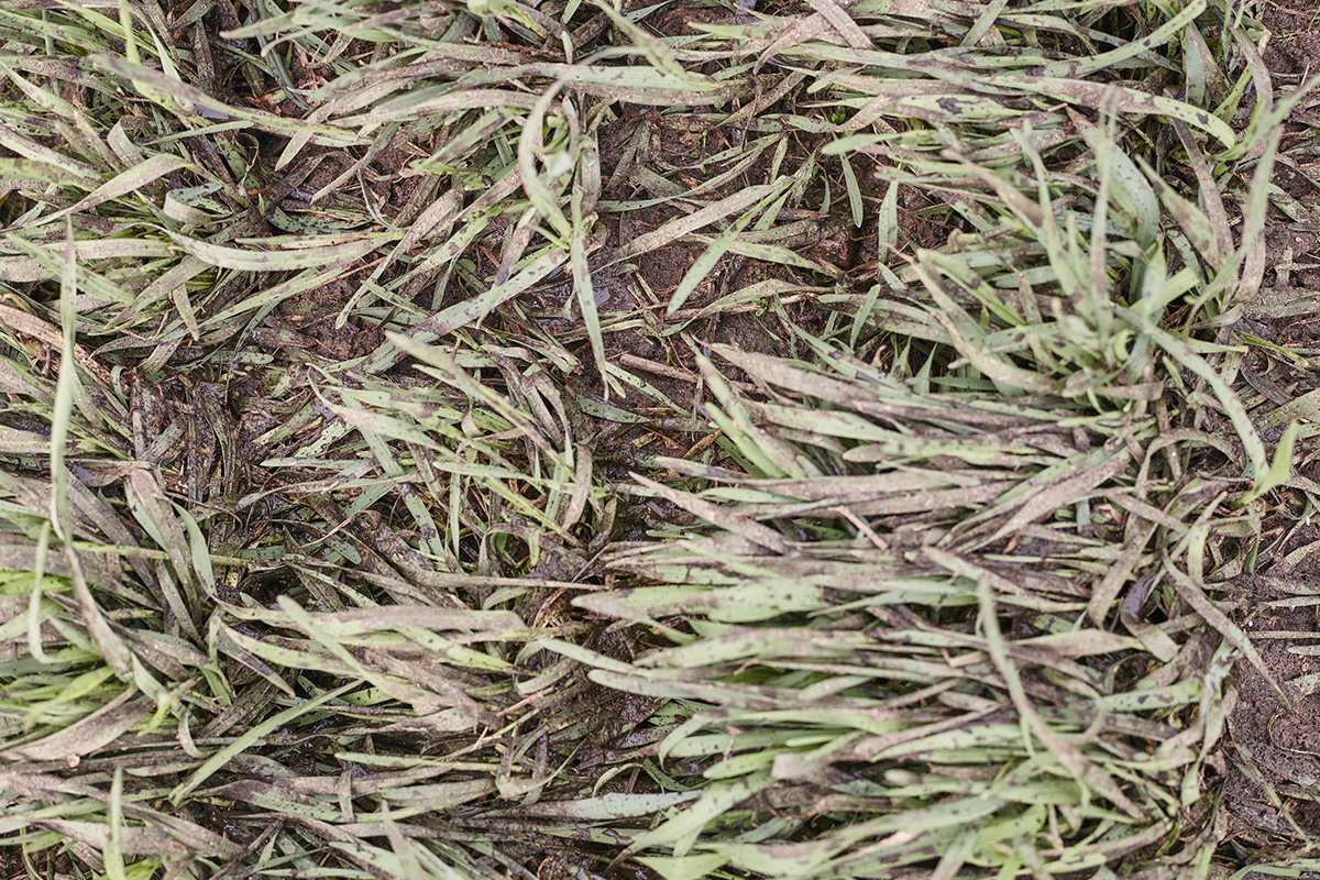 alex-fischer-fotograf-reportage-portrait-business-event-darmstadt-frankfurt-mannheim-heidelberg